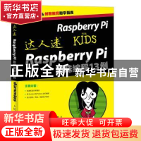 正版 达人迷:Raspberry Pi趣味编程13例 [美]Richard Wentk 人民