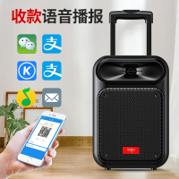 爱国者S55双咪广场舞音响户外手提便携式蓝牙小音箱K歌家用唱歌店铺收款大音量