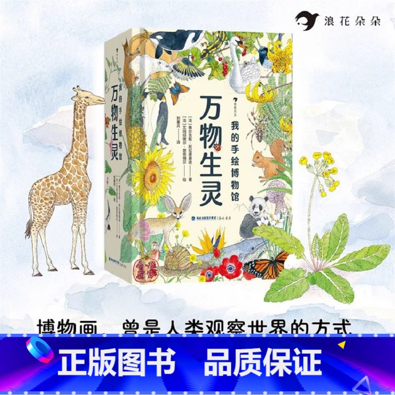 万物生灵 [正版]新版 我的手绘博物馆动物/海洋生物/万物生灵/人文奇观/动物的尾巴/果蔬 6-12岁儿童哺乳动物植物科