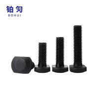 铂灳 T型螺栓 M12*60 个