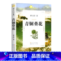 青铜葵花 [正版]任选草房子曹文轩著系列精品集 全套青铜葵花原著完整版人民文学五年级必读课外书儿童集课外阅读书籍名著丛书