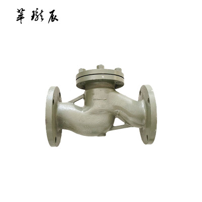 萃珑辰 止回阀 DN40 个