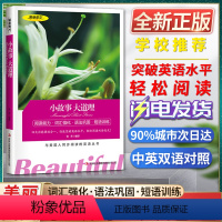 [正版]美丽英文小故事大道理阅读能力词汇强化语法巩固短语训练与美国人同步阅读的英语丛书 快速突破英语水平轻松阅读双语美