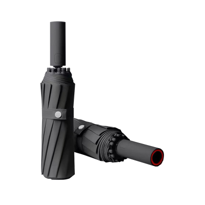 历途科技 全自动晴雨伞 20骨 把