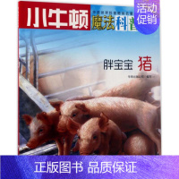 [正版]胖宝宝AR特别版 牛顿出版公司 编写 益智游戏/立体翻翻书/玩具书少儿 书店图书籍 海天出版社