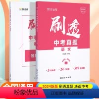 刷透中考真题 语文 初中通用 [正版]作业帮2024刷透中考真题语文运用题820题中考语文专项训练中考语文必刷题初中总复