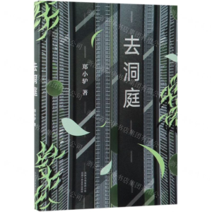 [M]去洞庭-9787530218914
