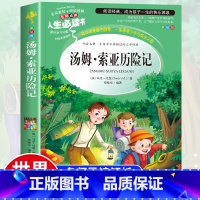 [正版]汤姆索亚历险记 原著小学版课外阅读书籍三四五六年级下册必读经典书目读物语文老师读物故事书完整版