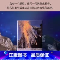 [正版]明亮的夜晚 崔恩荣著 女性版的《活着》韩国版的《秋园》四代女性的友谊抗争泪水与欢笑 韩国文学