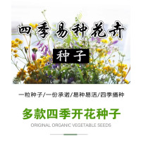 [补贴10%]花种子四季播盆栽雏菊向日葵薰衣草太阳花种籽孑大全虞美人种植