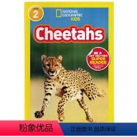 [正版]国家地理分级阅读猎豹英文原版绘本 National Geographic Kids Level2:Cheeta