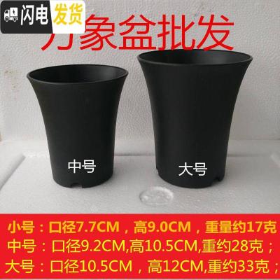 三维工匠万象盆大棚多肉植物12卷玉露老桩花盆黑色磨砂高腰盆加厚塑料 圆万象盆中号12个 小花盆容器