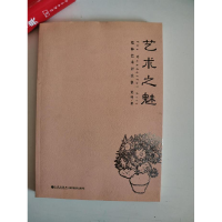 正版新书]艺术之魅-荒林艺术评论集荒林9787510818516