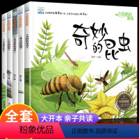 20册:科普绘本 第一辑 + 情绪管理绘本 [正版]大自然的奥秘 幼儿园科学启蒙绘本小中班阅读4一5岁幼儿绘本3–6岁儿