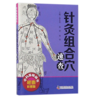 音像针灸组合穴速查郭长青