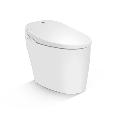 九牧 JOMOO 一体智能坐便器 即热式全自动多功能智能座便器 外置男士小冲遥控器S600