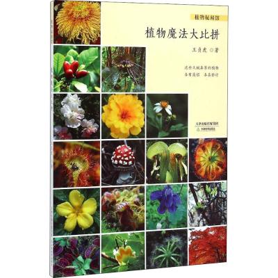 植物秘闻馆:植物魔法大比拼