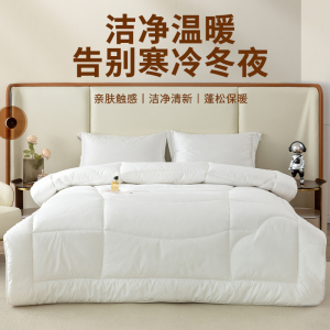 ANCHOW安巢 羊毛混合冬被 AW10706