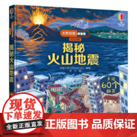 尤斯伯恩揭秘火山地震儿童洞洞书故事幼儿认知农场3D立体翻翻婴儿启蒙书籍0-1-2-3岁宝宝早教翻页书接力出版社
