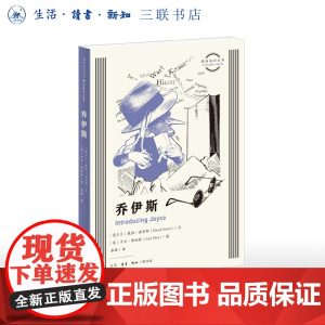 乔伊斯 图画通识丛书 作家乔伊斯不同凡响的生平与作品 三联书店