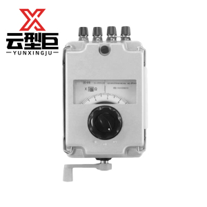 云型巨 电阻表 绝缘电阻测试仪电子摇表数显高 5000v 单位:个