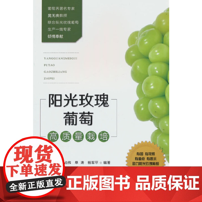 阳光玫瑰葡萄高质量栽培