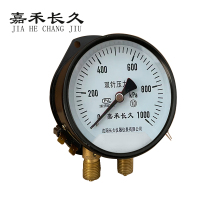 嘉禾长久 双针压力表 YZS-102 1.0级 带灯24v 台