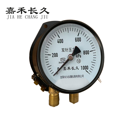 嘉禾长久 双针压力表 YZS-102 1.0级 带灯24v 台