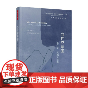 万千心理 当代克莱因 第二卷 实践发展篇 伊丽莎白·博特·斯皮利厄斯 编著 心理学