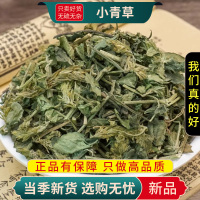 甄选小青草100克爵床草赤眼老母草麦穗癀无硫另售红枣9260