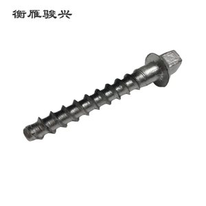 衡雁骏兴 方头螺纹钉 22×145mm 个