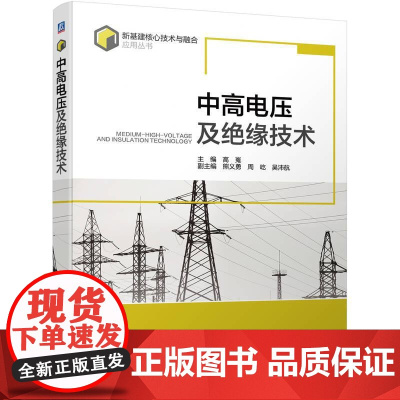 机工 中高电压及绝缘技术 主编 高嵬副主编 熊义勇 周屹 吴沛航