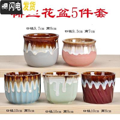 三维工匠多肉花盆陶瓷小号粗陶透气简约创意迷你拇指盆肉植物控型花盆 椰丝花盆5件套 小花盆容器