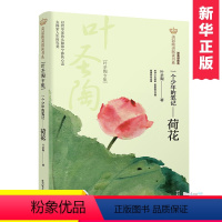 荷花 [正版] 荷花专集/美冠纯美阅读书 少儿文学 课外阅读 童书 7-10岁 同心出版社