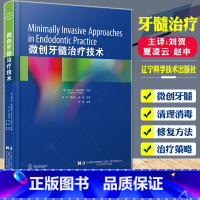 单本全册 [正版]微创牙髓治疗技术 刘贺 牙本质保存技术在根管治疗中的应用 活髓保存治疗技术 微创根管预备中的清理和消毒
