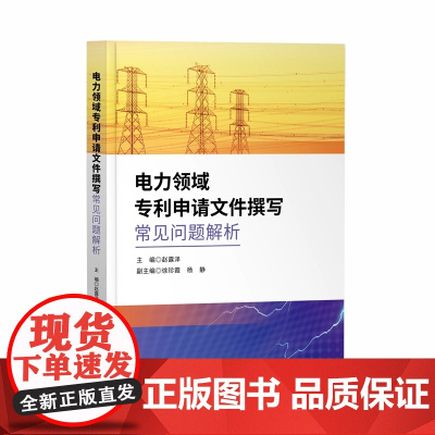 正版 电力领域专利申请文件撰写常见问题解析 赵露泽 主编 徐珍霞 杨静 副主编 知识产权出版社 978751307956