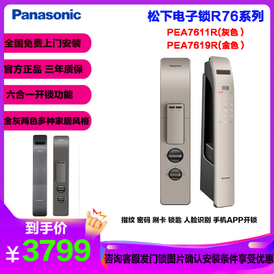 松下(Panasonic)人脸识别指纹锁联网密码锁智能门锁全自动锁推拉式防盗门电子锁刷卡APP手机联网PEA7619R