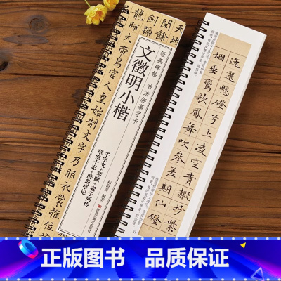 [正版]文徵明小楷 千字文琴赋草堂志醉翁亭记书法成人学生初学入门经典碑帖全文原大版墨迹本近距离临摹字卡