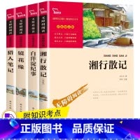[4册]七年级上册必读名著 [正版]全套4册猎人笔记初中生镜花缘书籍 名著原著白洋淀纪事 湘行散记 七年级课外阅读7上册