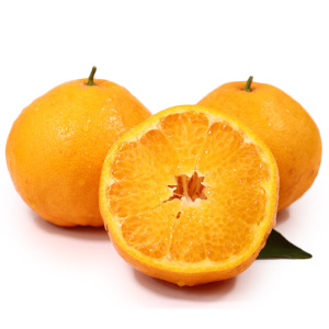 [鲜贝达]四川春见耙耙柑5斤装(75-80mm) 新鲜水果 柑橘子橙子