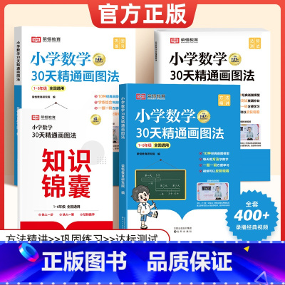 [学会解题思路]⭐小学数学30天精通画图法(全4册) [正版]小学数学30天精通画图法全套通用版一二三四五六年级上下册数