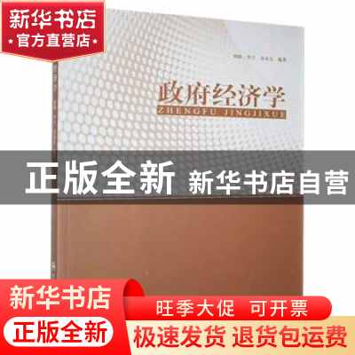 正版 政府经济学 刘颖,李吉,姜永文 中国人民公安大学出版社 9787