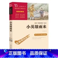小英雄雨来 [正版]宝葫芦的秘密张天翼著三年级小学生课外阅读书籍四五六年级 小学生书目 6-9-10岁儿童经典文学作品书
