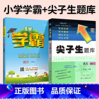 难度升级[尖题+学霸]语文 人教版 2本 六年级上 [正版]2024春尖子生题库二三年级四五年级六一年级上下册数学语文人