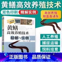 [正版]黄鳝高效养殖技术精解与实例 黄鳝高效养殖技术精解与实例 科学养殖书籍 黄鳝养殖书 水产养殖入门书籍