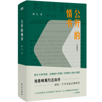 音像公开的情书(新编版)靳凡