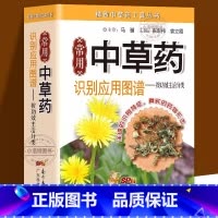 [官方正版]中草药识别应用图谱 [正版] 常用中草药识别应用图谱铜版纸 按功效主治分类中药学药材药学入门 实拍中草药书