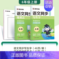 [升级2本装]6年级上册 [正版]小学生一二三年级上册练字四五六年级下册每日一练人教版语文同步练字帖生字描红练习册儿童控