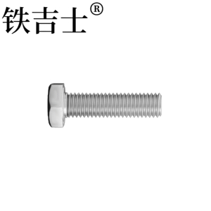 铁吉士 304不锈钢外六角螺栓 M10*250 个