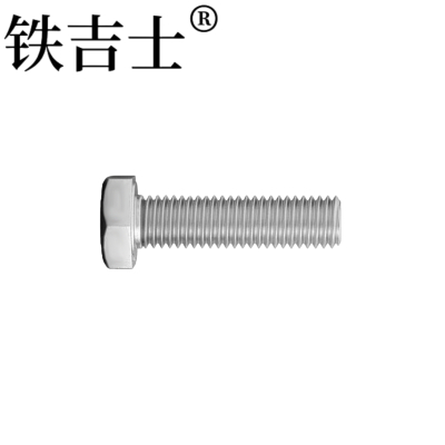 铁吉士 304不锈钢外六角螺栓 M10*250 个